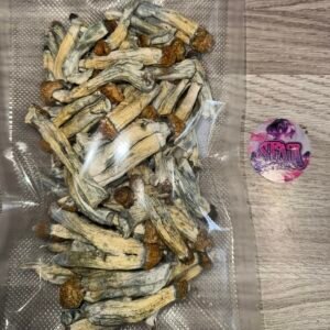 24b1c5fa e3e2 4dc4 b865 802c06f8637d