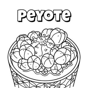 Peyote