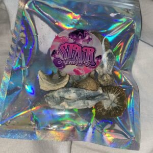 ac22a38d 434f 428f 9ee4 ec2db9c6e1cd